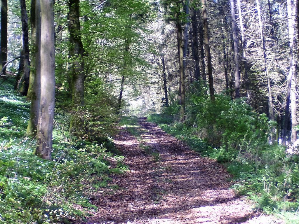 Apartament Landferien Eifel Pittenbach Zewnętrze zdjęcie
