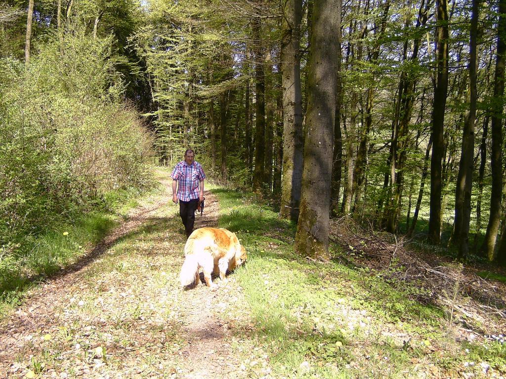 Apartament Landferien Eifel Pittenbach Zewnętrze zdjęcie